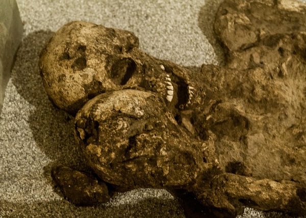Esporre i morti: che cosa deve fare oggi un museo?